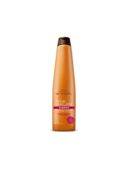 Champú BE NATURAL Repair Argan (350ml)
