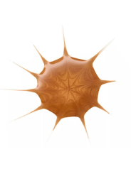 Drop of Sunshine Gotas Bronceadoras Essence