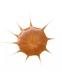 Drop of Sunshine Gotas Bronceadoras Essence