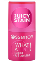 What a Tint! Tinte para Labios y Mejillas 10 | Raspberry Vibes What a Tint! Tinte para Labios y Mejillas 10 | Raspberry Vibes