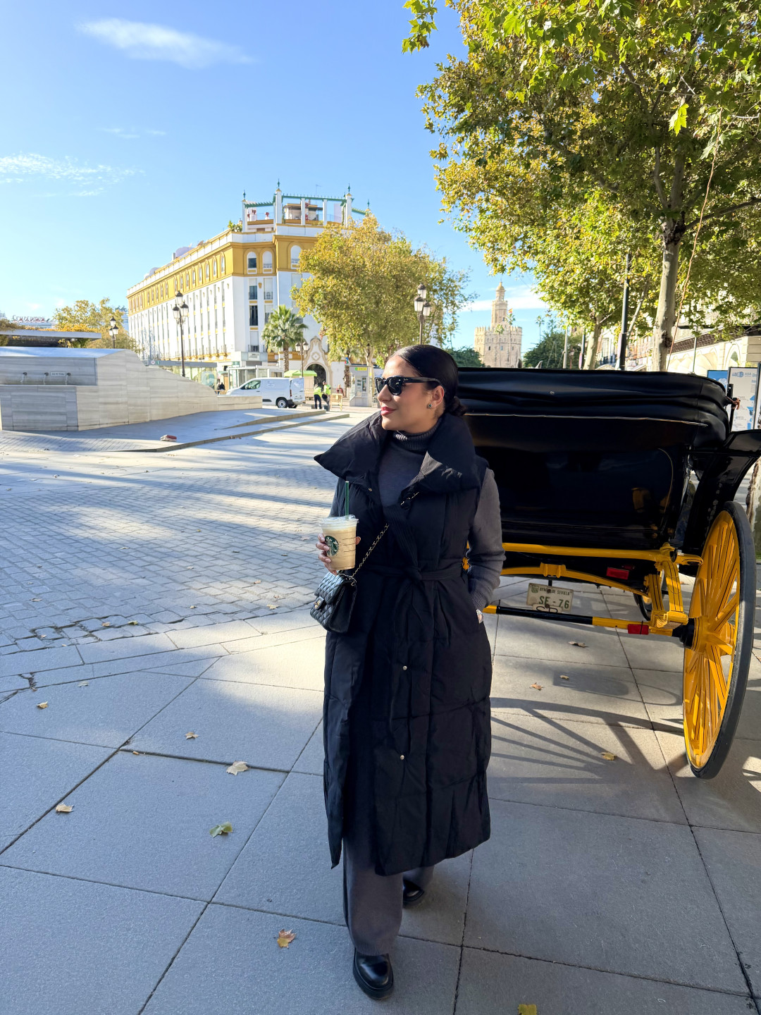 Plumas largo sin mangas negro