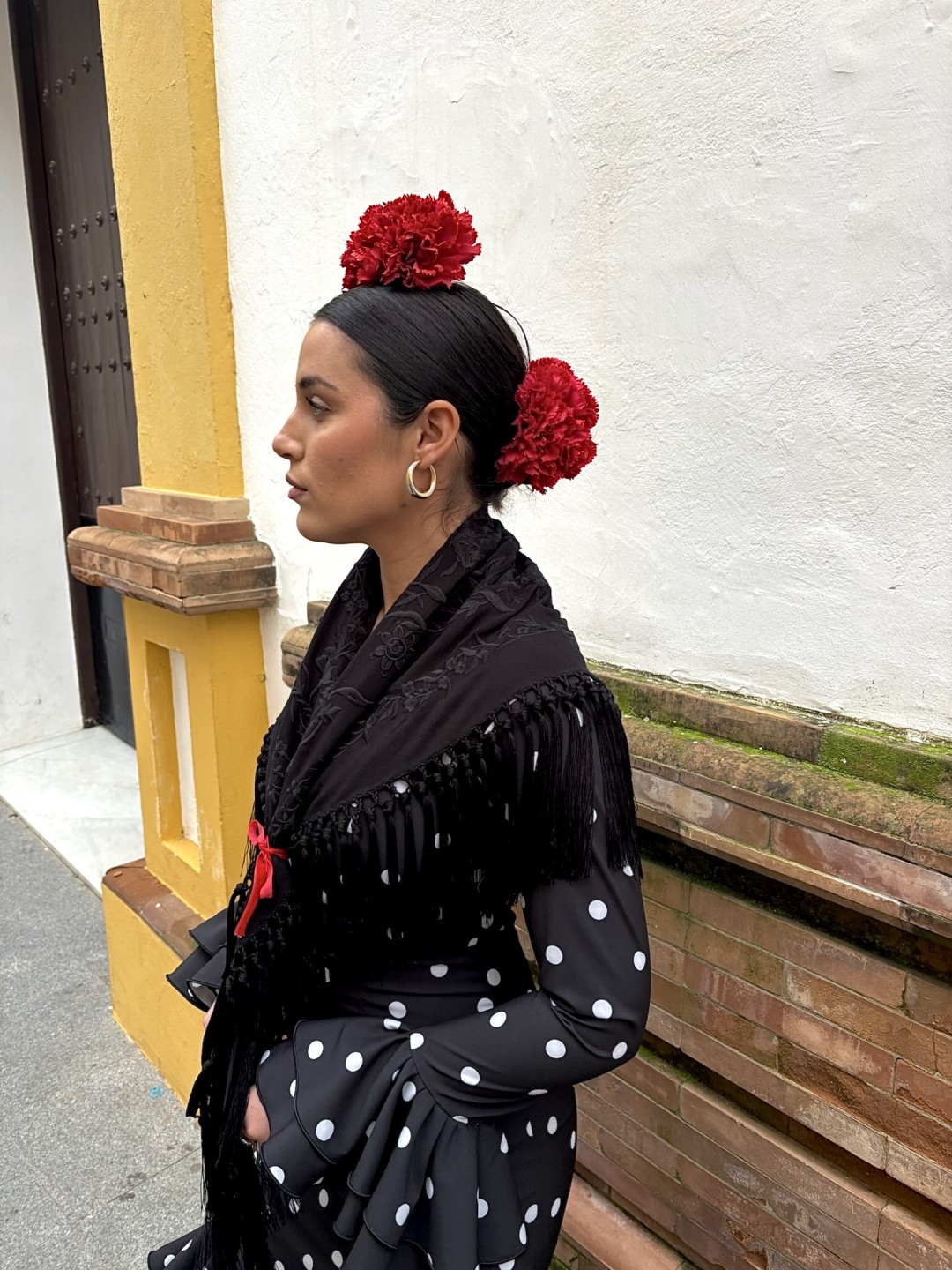 Mantón negro bordado negro 1