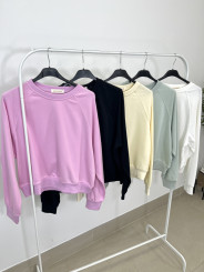 Sudadera basica Minerva