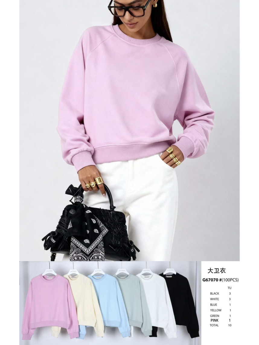 Sudadera basica Minerva