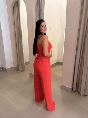 Mono Paloma