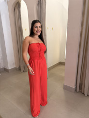 Mono Paloma